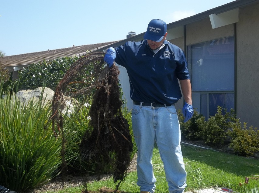 A wicked root can clog your sewer line, hydro jetting can help